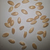 Hales Best Jumbo Heirloom Cantaloupe Seeds