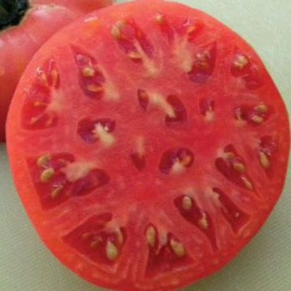 Tomato Seeds Brandywine Pink (Heirloom) – The Rusted Garden