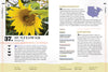 Book: 100 Plants to Feed the Bees