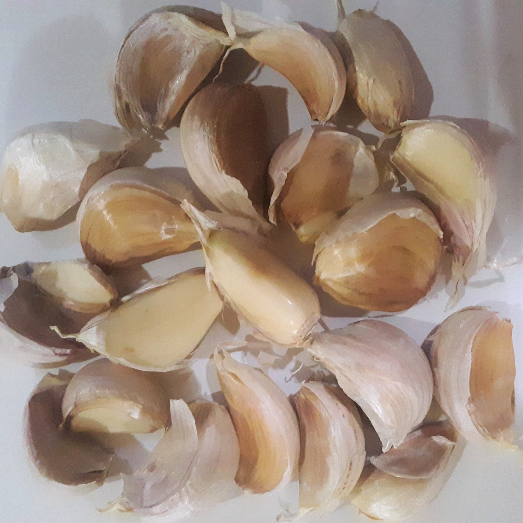 German White Heirloom Certified Seed Garlic Cloves
