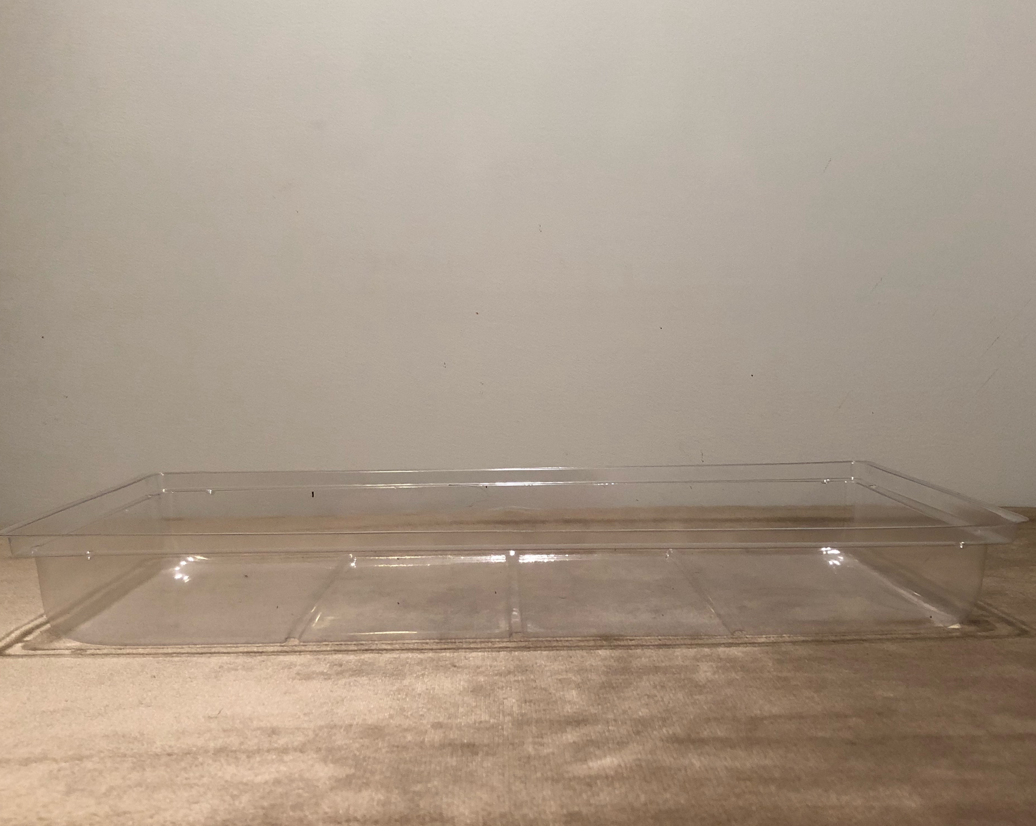 Propagation Tray Clear Dome 10 Pack