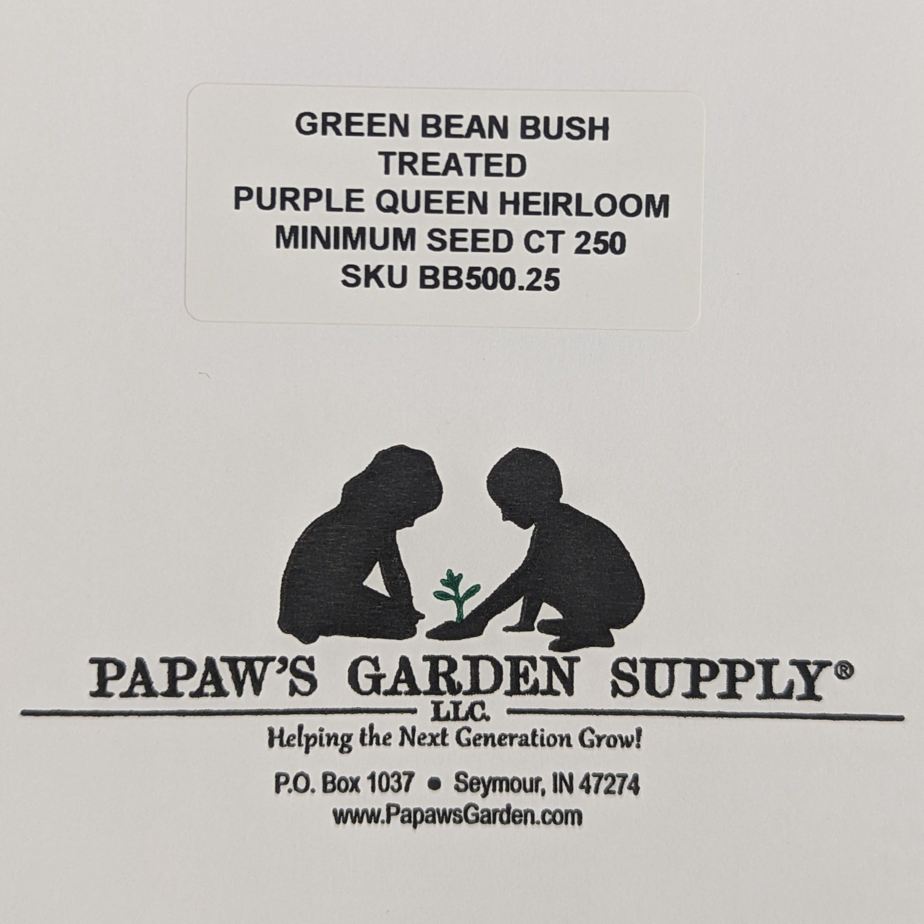 Purple Queen Heirloom Bush Green Bean Treated Seeds