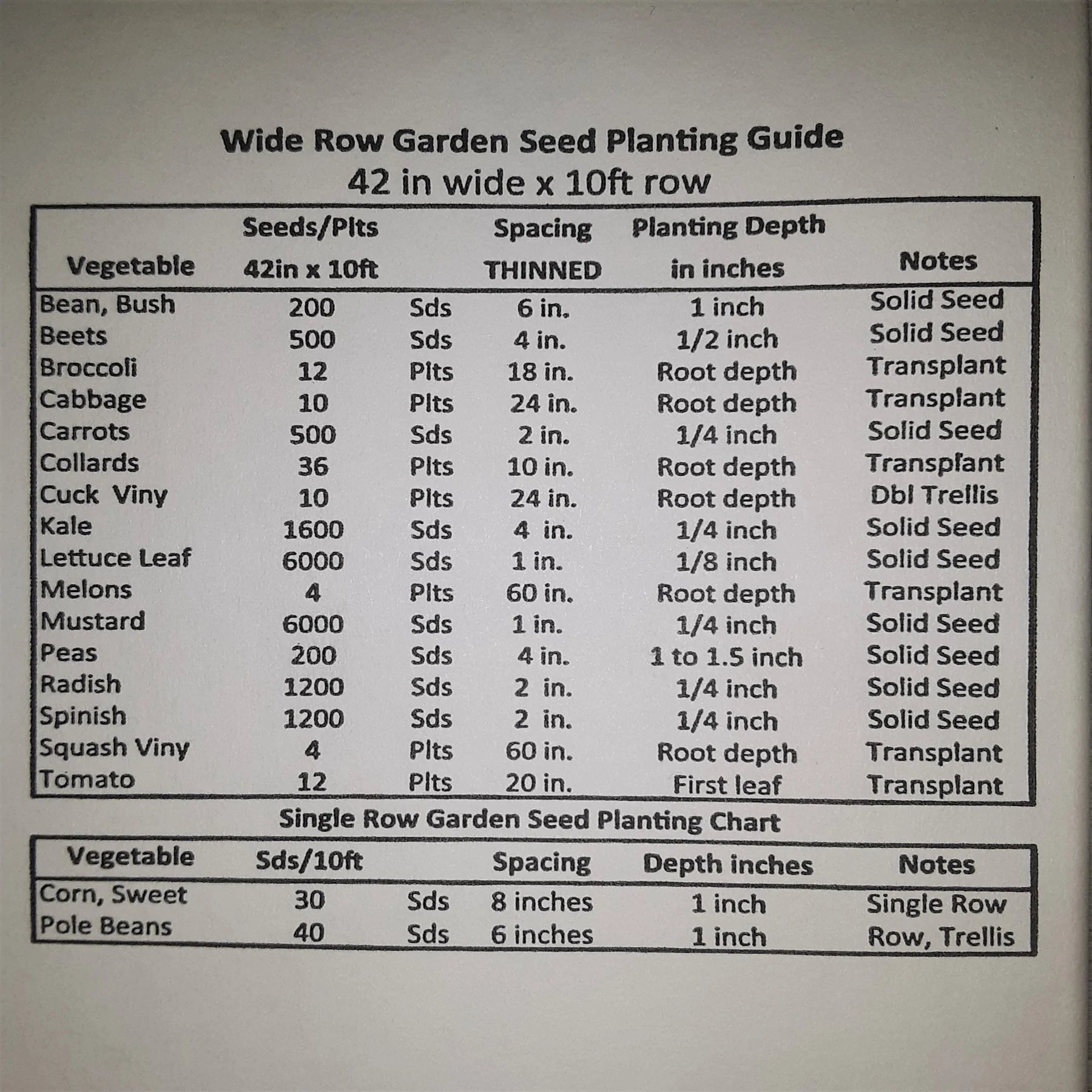 Honey Select Treated Yellow Hybrid Sweet Corn Seed