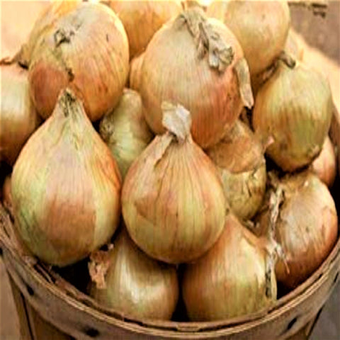 Onions