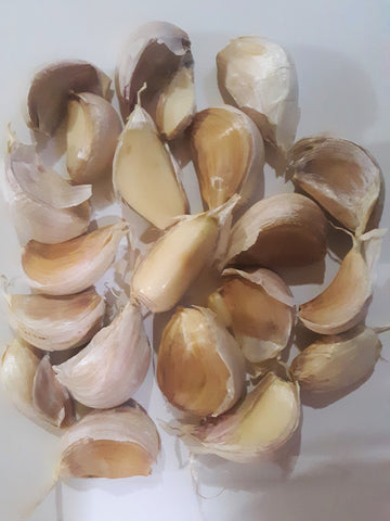 Certified Seed Garlic Cloves
