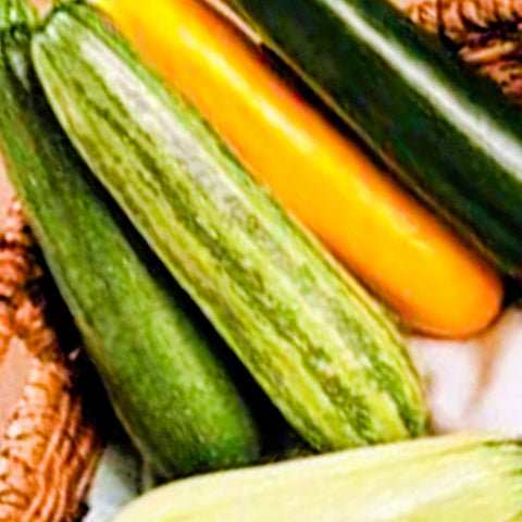 Squash, Summer