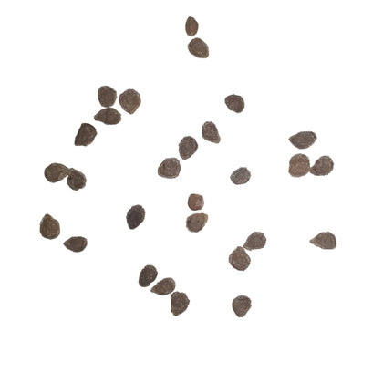 Hungarian Heart Heirloom Tomato Seeds