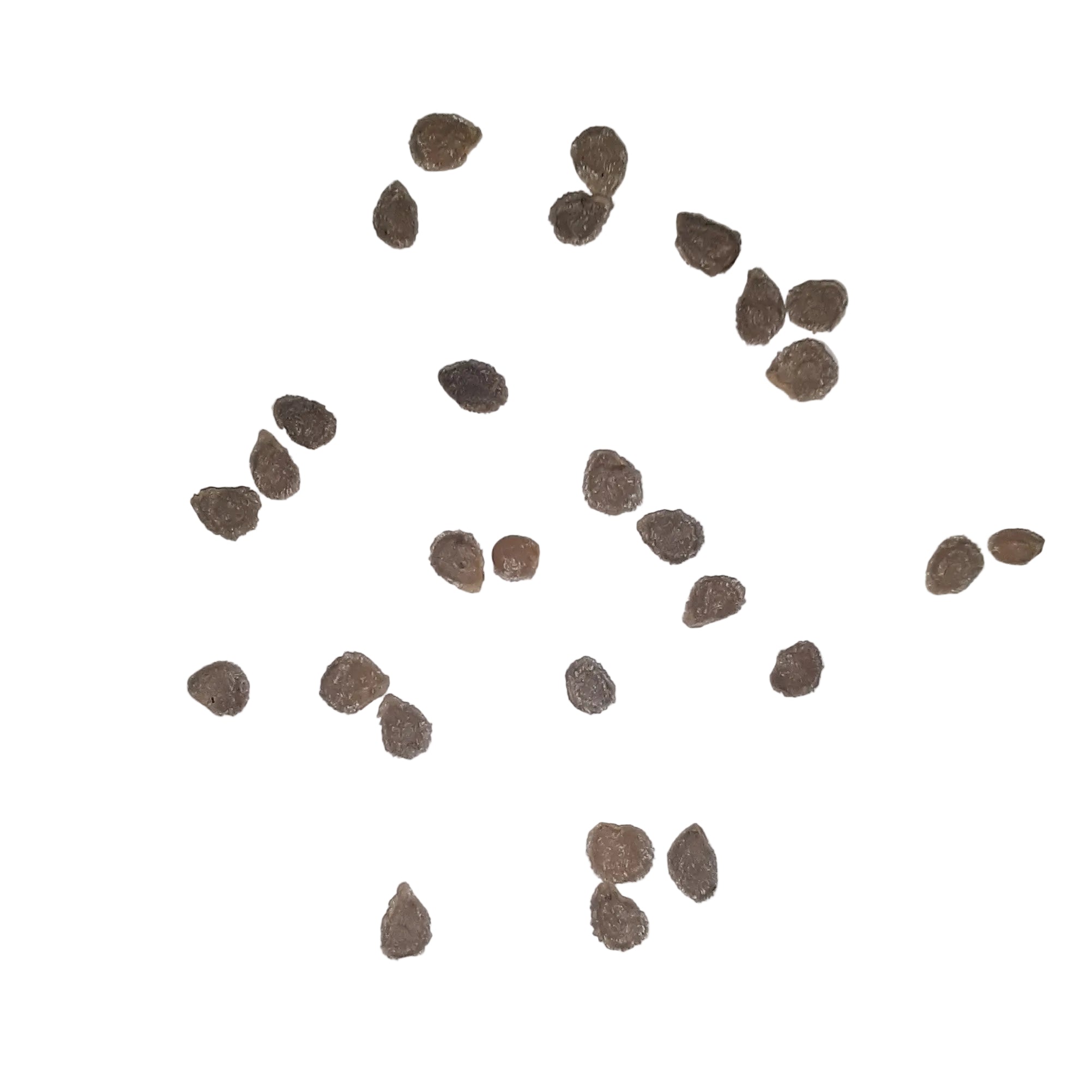 Early Girl Hybrid Tomato Seeds