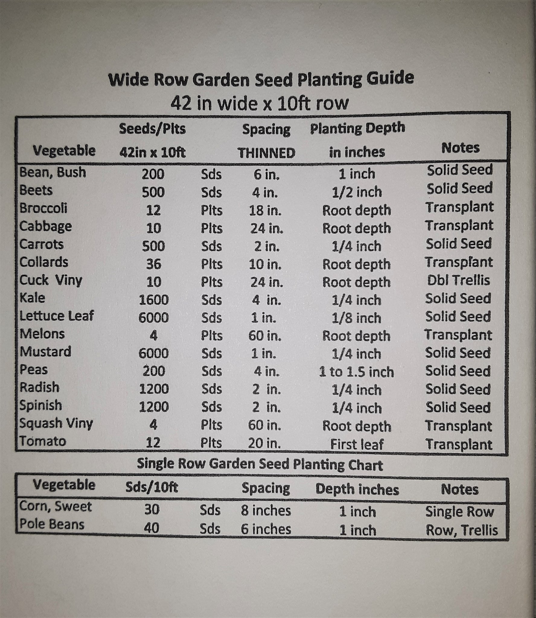 Kohlrabi White Vienna Seeds
