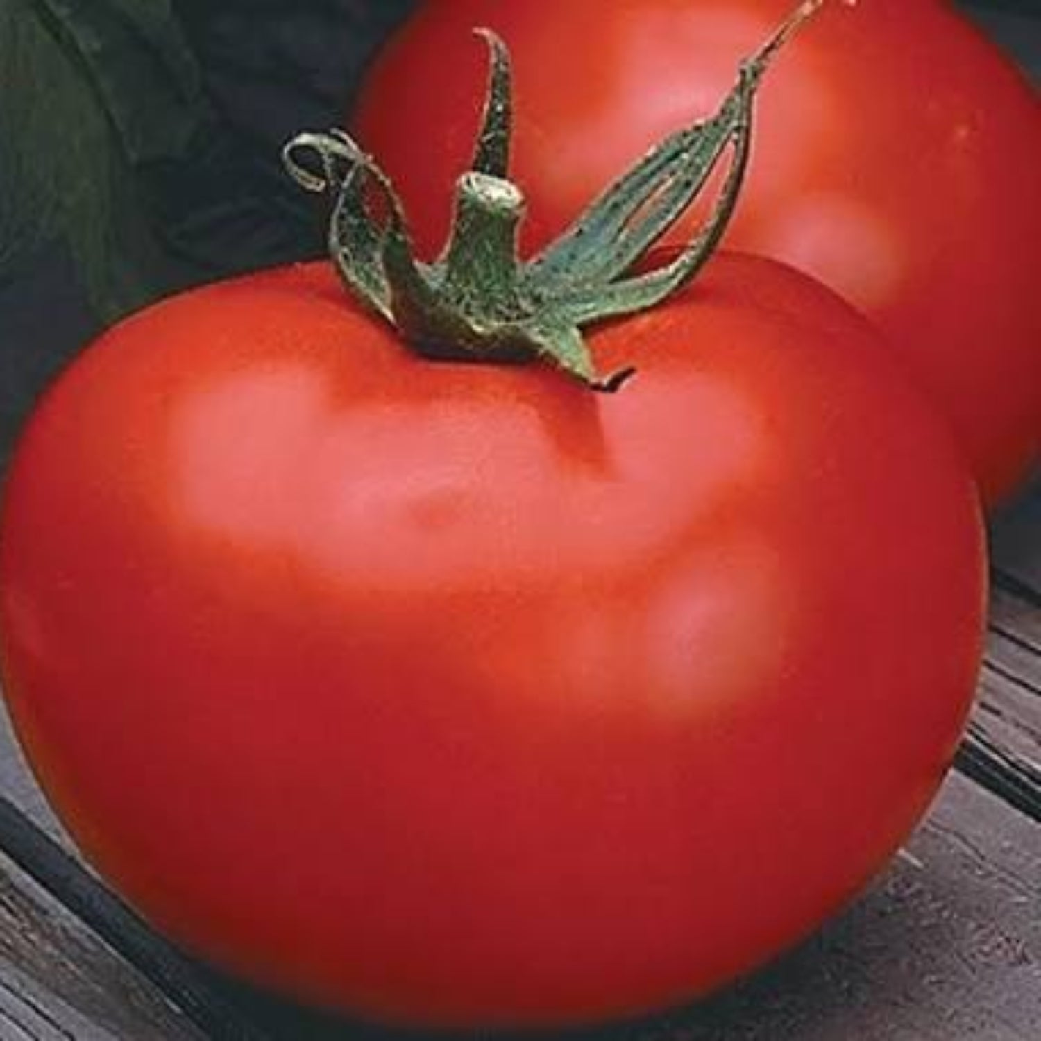 Better Boy Hybrid Tomato Seeds