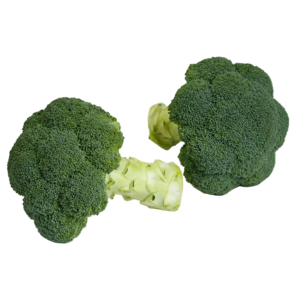 Appalachian Hybrid Broccoli Seeds