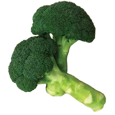 Green Magic Broccoli Seeds