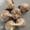 7inx7inx7in Box of Hardneck Garlic End of Season