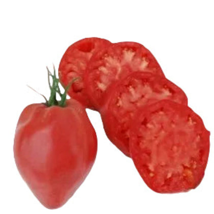Hungarian Heart Heirloom Tomato Seeds