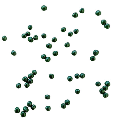 Megaton F1 Cabbage Treated Seeds