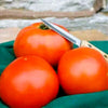 Mountain Fresh Plus Untreated Hybrid Tomato Seeds