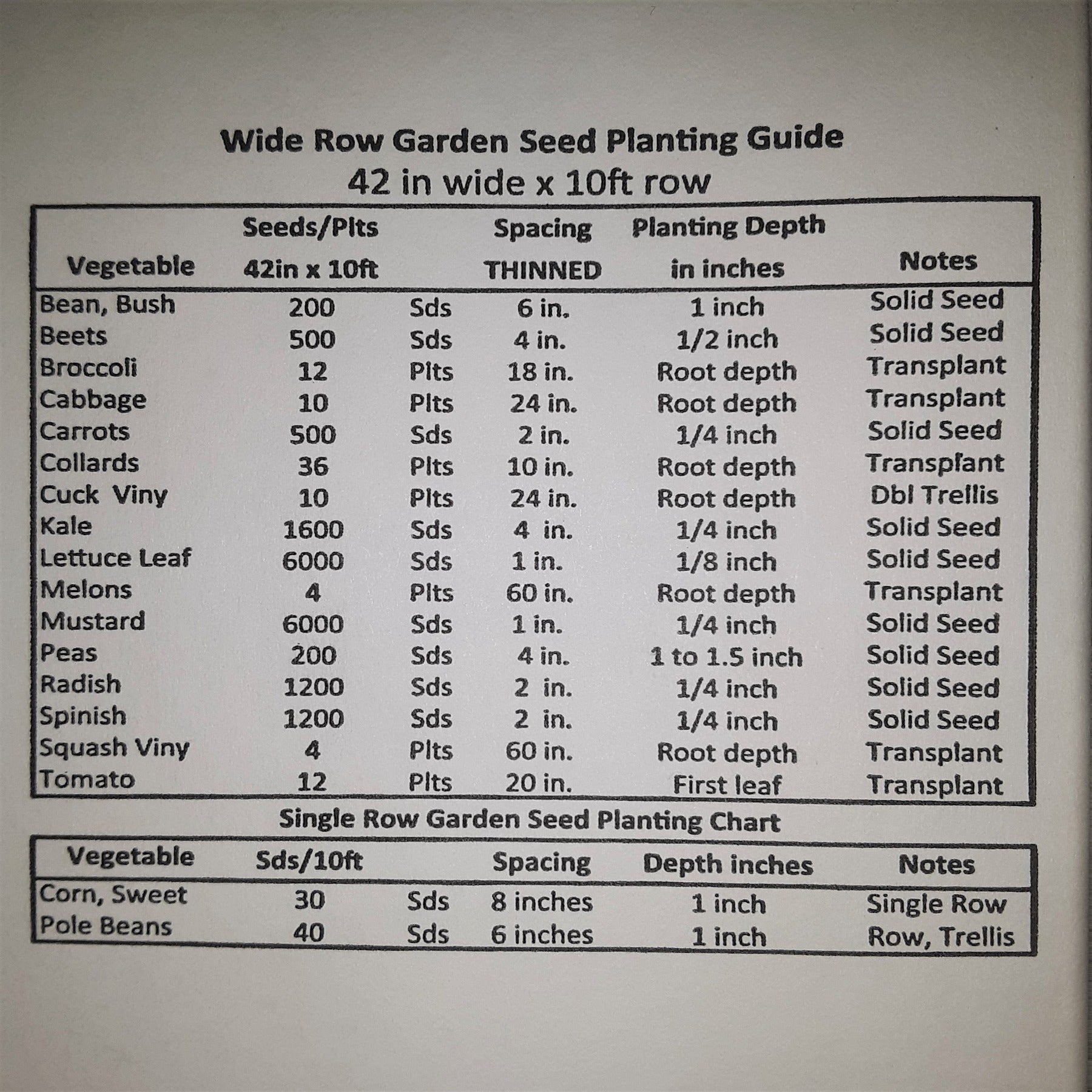 White Dutch Heirloom Clover Cover Crop Seed