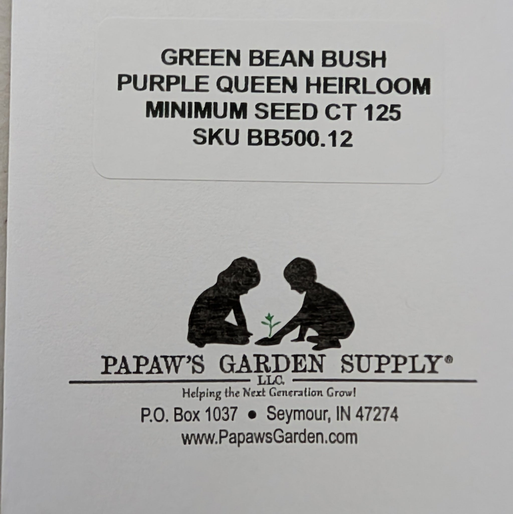 Purple Queen Heirloom Bush Green Bean Seeds