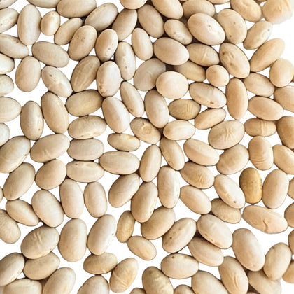 Tennessee Half Runner Green Bean Seeds