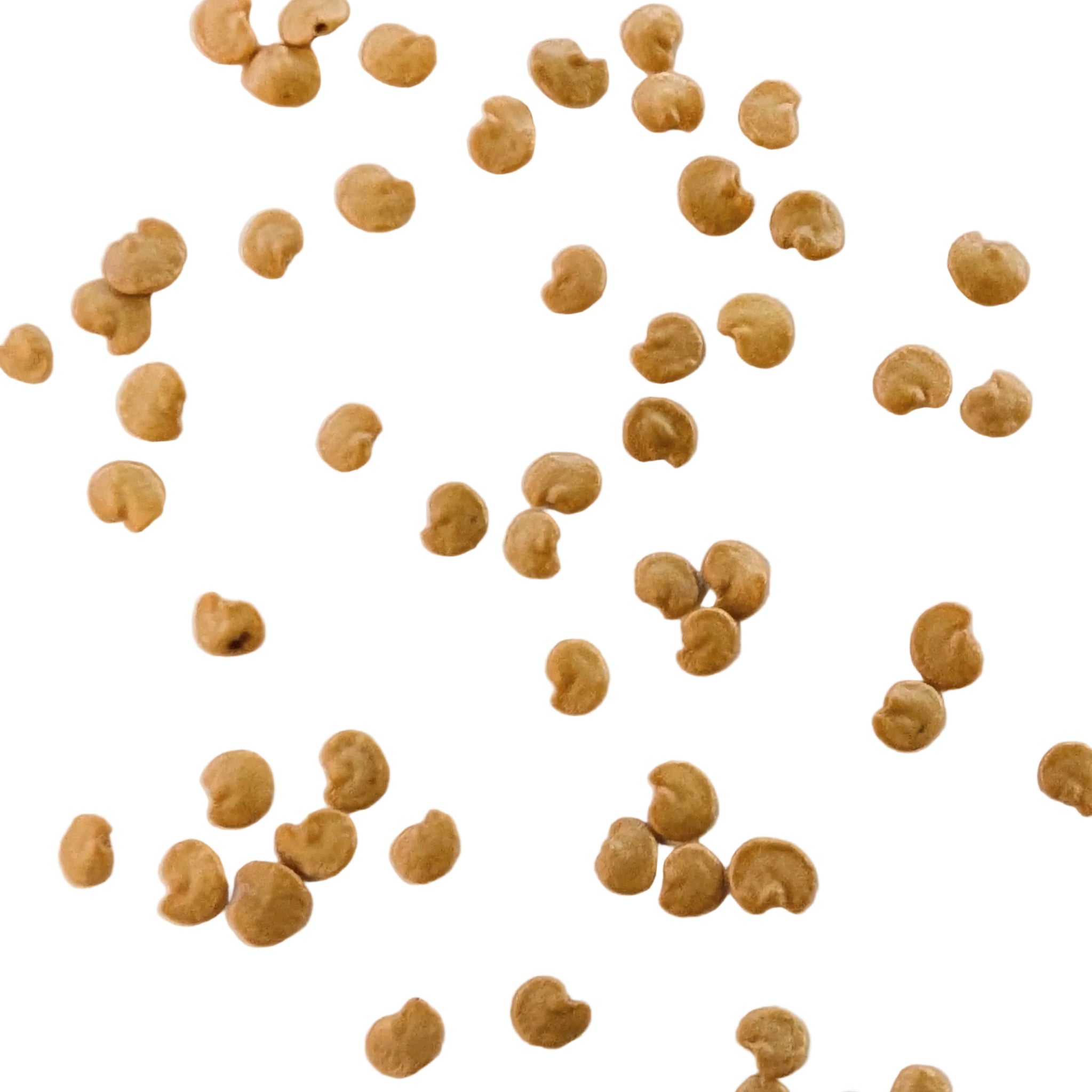 Italian Heirloom Long Purple Eggplant Seeds