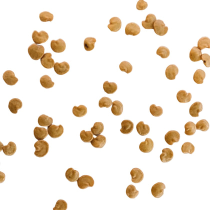 Black Beauty Heirloom Egg Plant Seeds