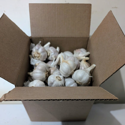 7inx7inx7in Box of Hardneck Garlic End of Season