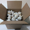 7inx7inx7in Box of Hardneck Garlic End of Season