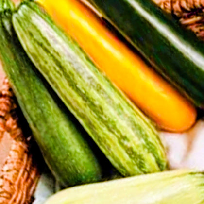 Zucchini Squash Variety Mix Seeds