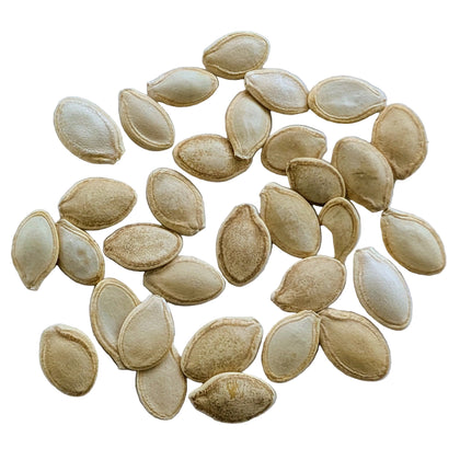 Zucchini Squash Variety Mix Seeds