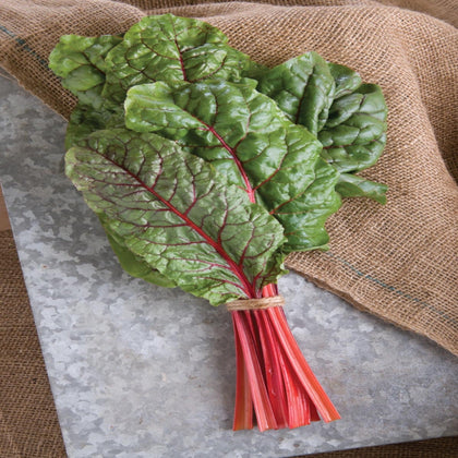 Rhubarb/Ruby Swiss Chard Seeds