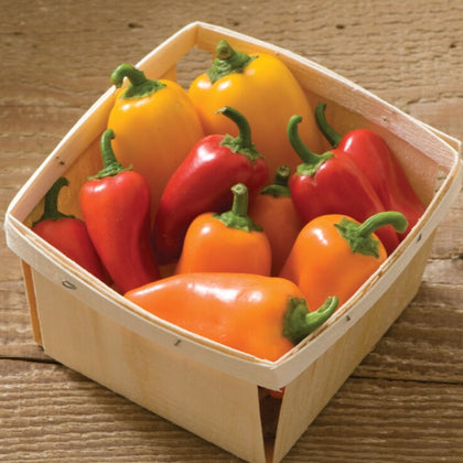 Sweet Snacking Mix Pepper Seeds