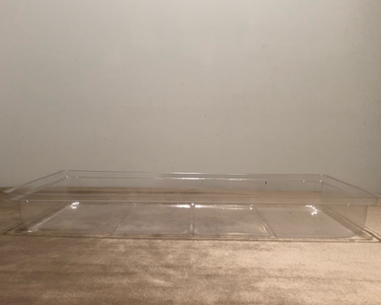 Propagation Tray Clear Dome 10 Pack