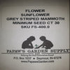 Mammoth Grey Striped Sunflower Seeds