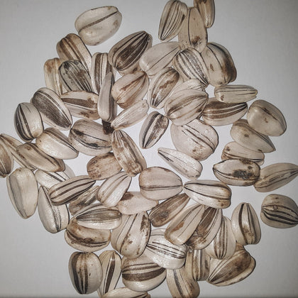 Mammoth Grey Striped Sunflower Seeds
