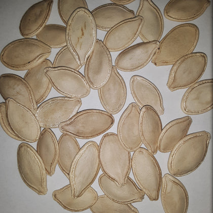 Jack O' Lantern Heirloom Pumpkin Seeds