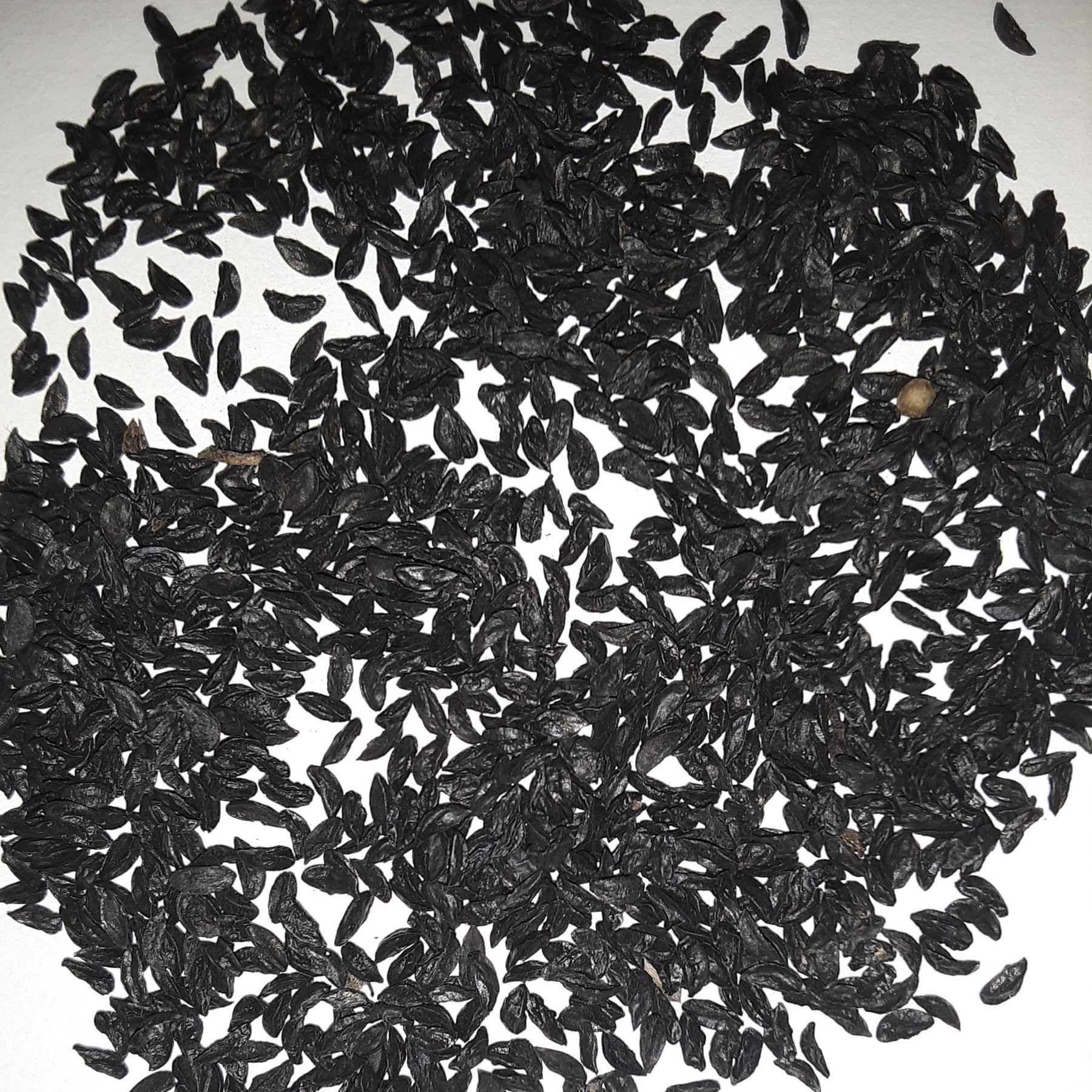Herb, Common Chive Seeds