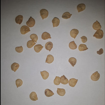 Hatch Cert. Ms. Junie Chile Hot Pepper Seeds