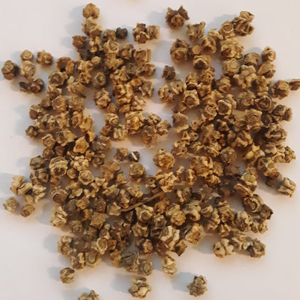 Giant Fordhook Heirloom Swiss Chard Seeds