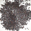 American Purple Top Heirloom Rutabaga Seeds