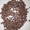 Black Spanish Round (Winter) Radish Seeds