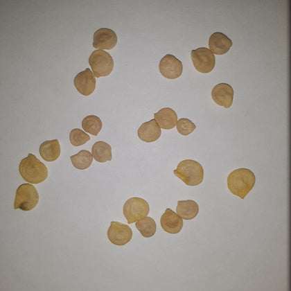 Sweet Snacking Mix Pepper Seeds