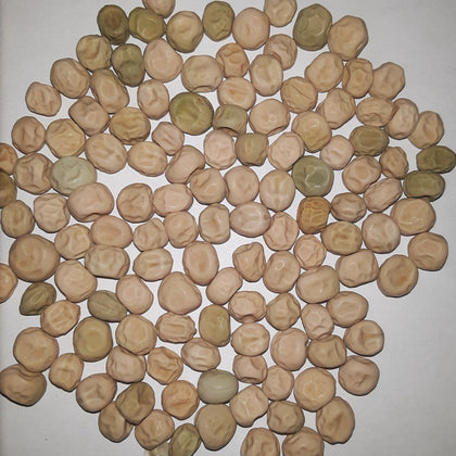 Wando Bush Pea Seeds