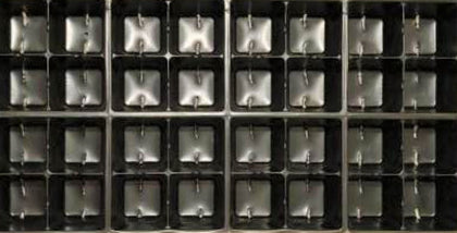 Propagation 804 Cell Sheet 10 Pack