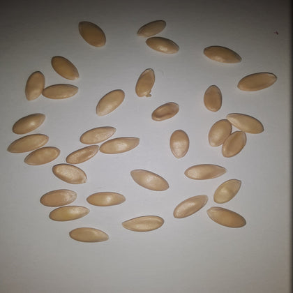 Ambrosia Hybrid Cantaloupe Seeds