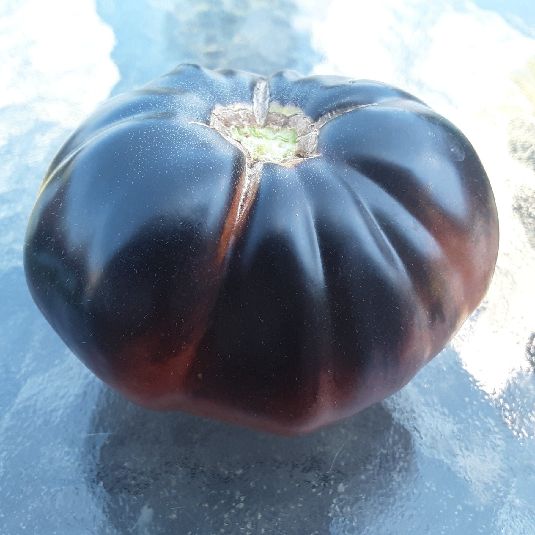 Black Beauty Slicing Tomato Seeds