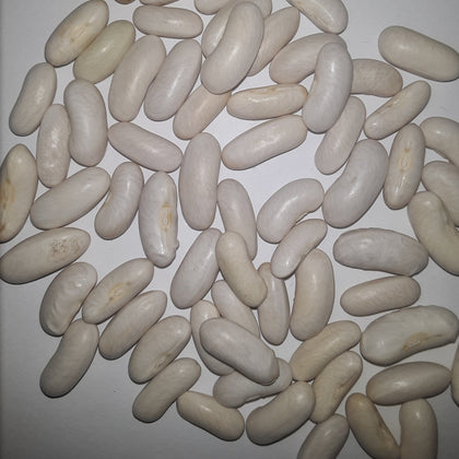 Blue Lake Bush Heirloom Green Bean Seeds