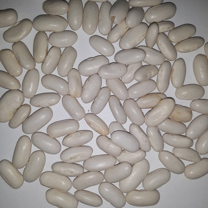 Heirloom Blue Lake Pole Bean Seeds