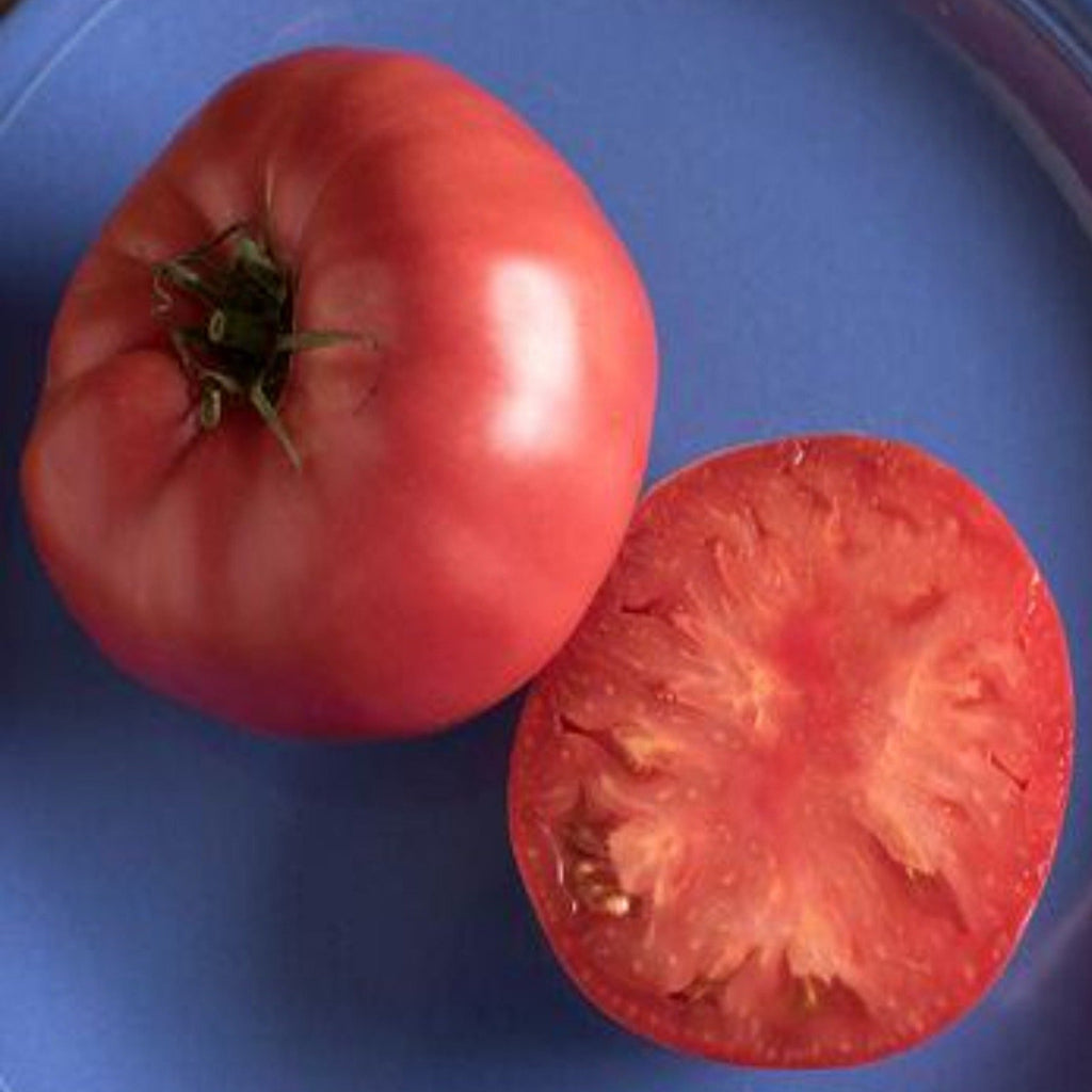 Brandywine Pink Heirloom Tomato Seeds, the taste says it all