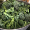 Broccoli Bargain Blend Seeds