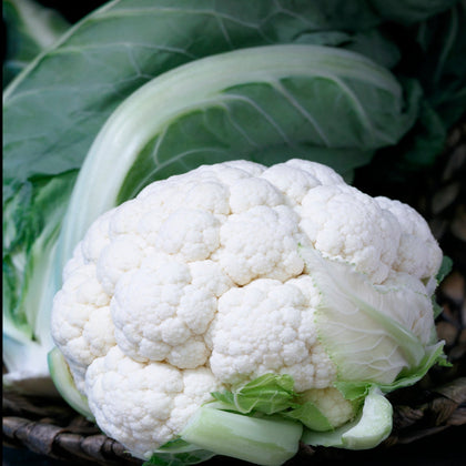 Twister Hybrid Cauliflower Seeds